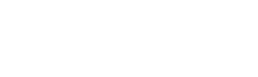 Bender Transporte